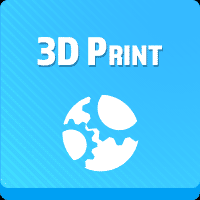 3D Print